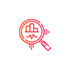Custom SEO Reporting